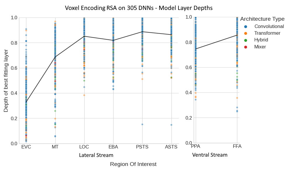 Layer depth compared across lateral and ventral streams