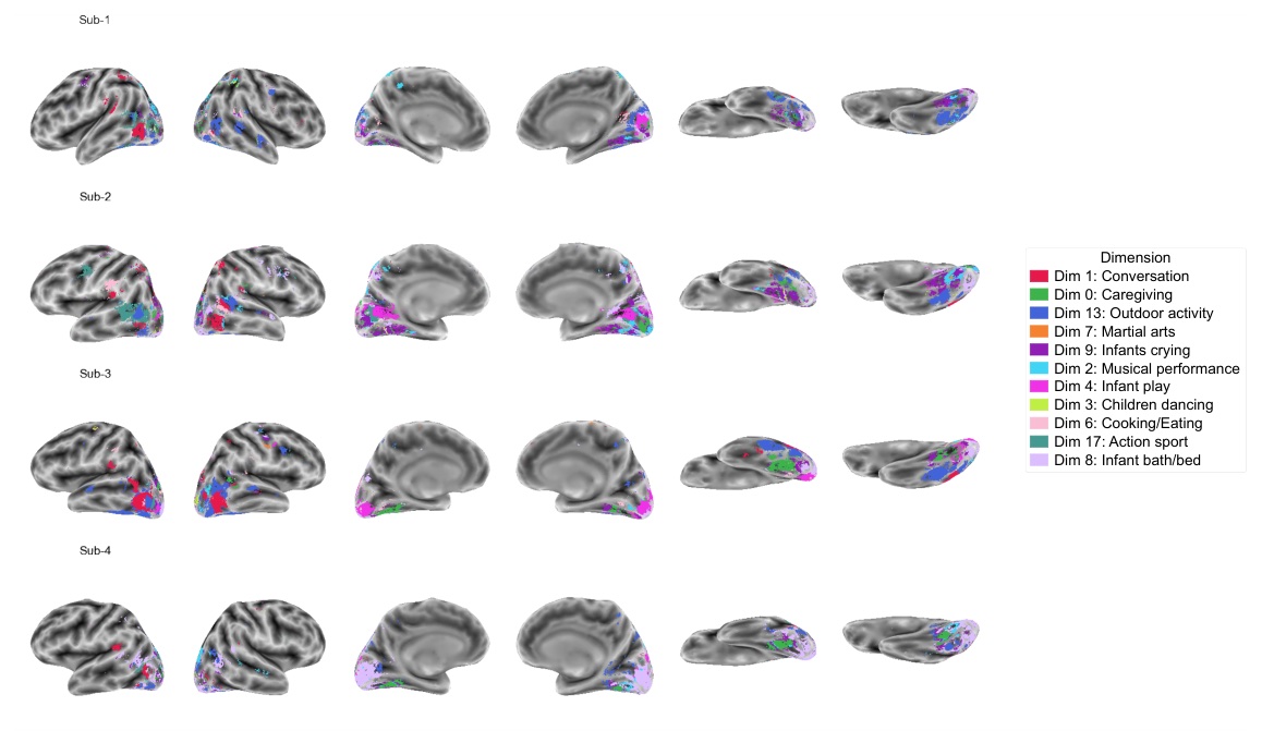 Winner-take-all map of the best-predicting dimension per voxel