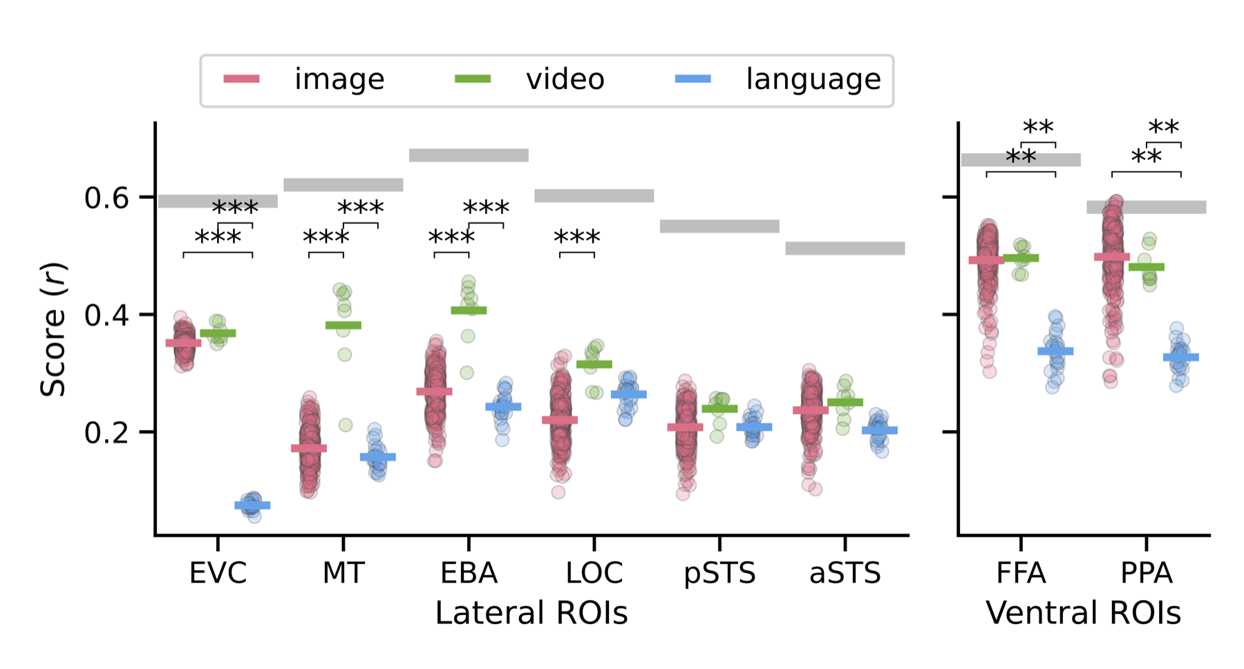 Prediction of neural responses by ROI and model class