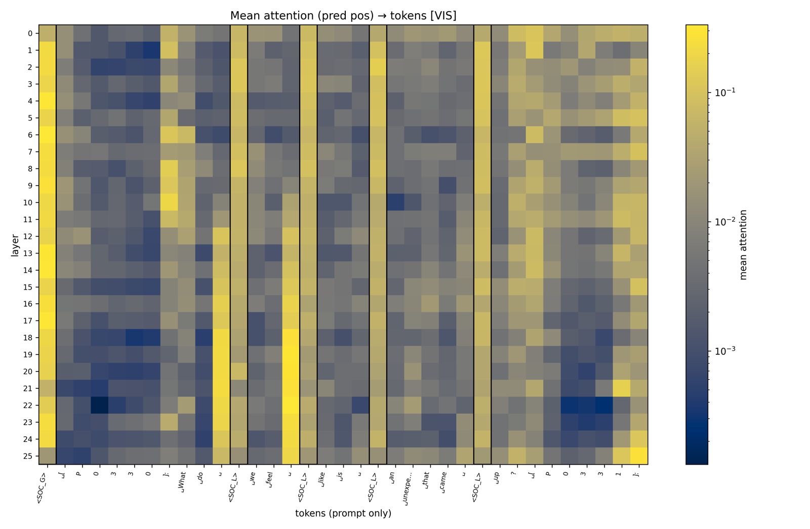 Attention to social tokens across layers